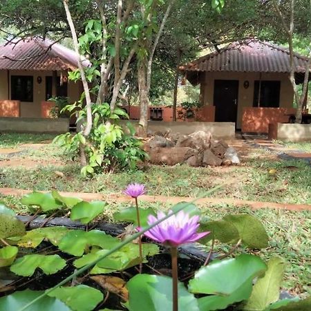 Hotel Niyagala Lodge สิกิริยา ภายนอก รูปภาพ