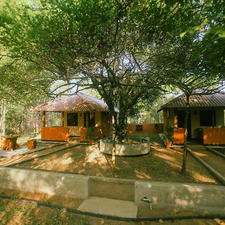Hotel Niyagala Lodge สิกิริยา ภายนอก รูปภาพ