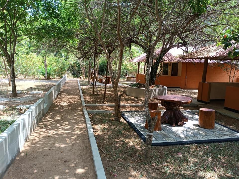 Hotel Niyagala Lodge สิกิริยา ภายนอก รูปภาพ