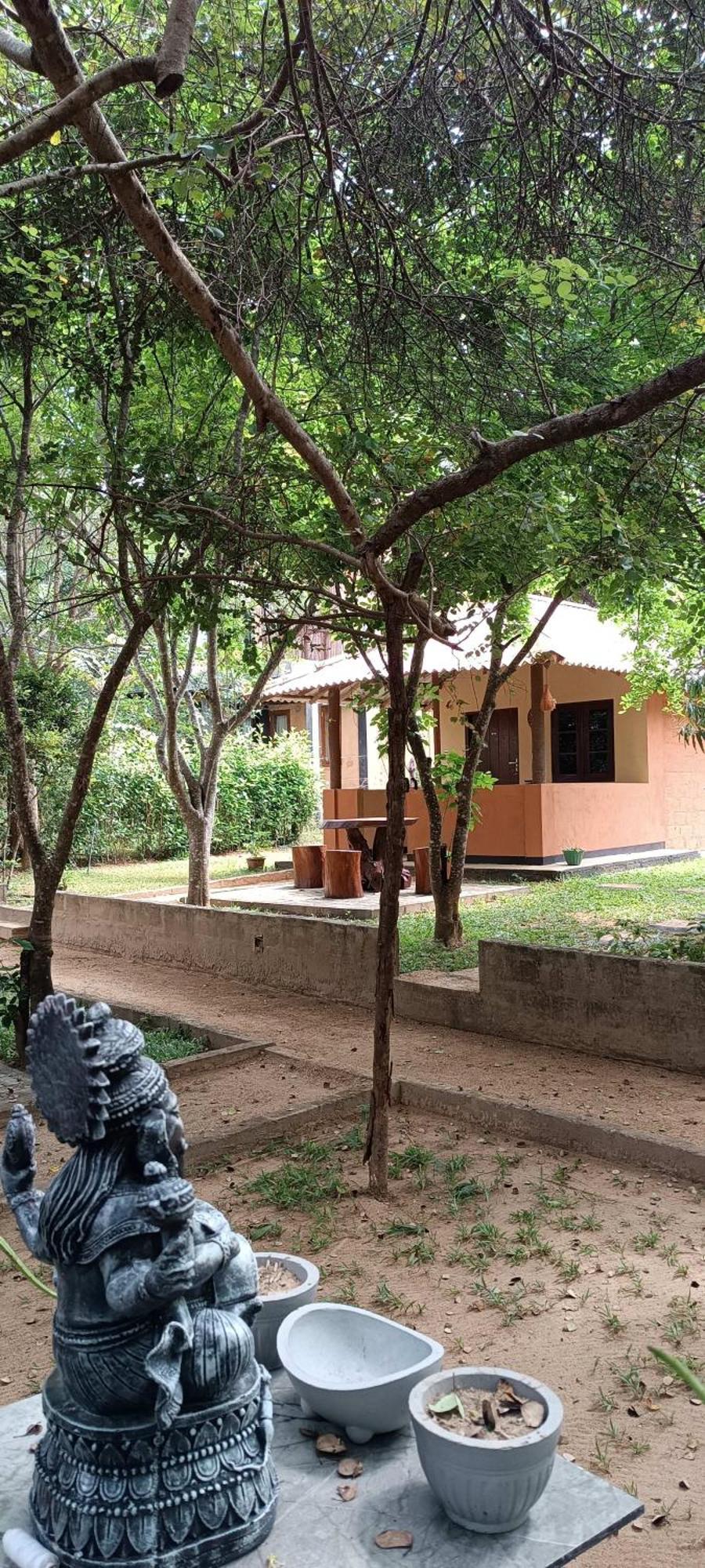 Hotel Niyagala Lodge สิกิริยา ภายนอก รูปภาพ