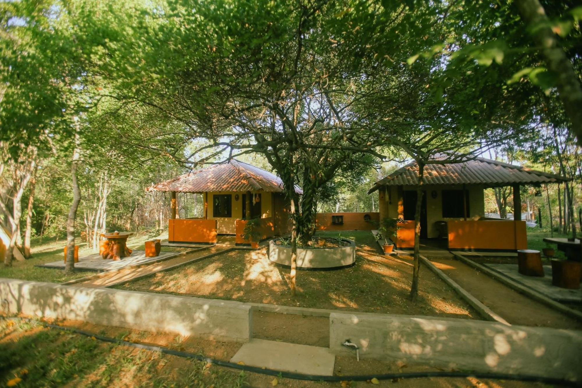 Hotel Niyagala Lodge สิกิริยา ภายนอก รูปภาพ