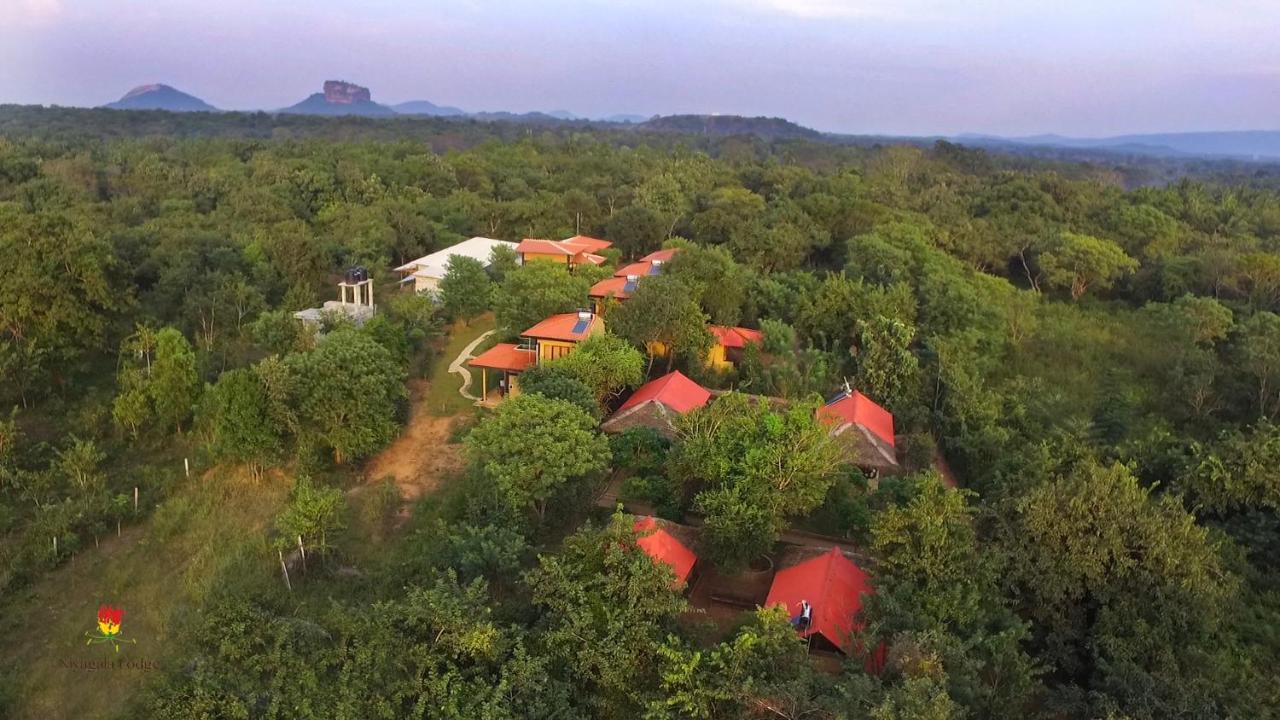 Hotel Niyagala Lodge สิกิริยา ภายนอก รูปภาพ