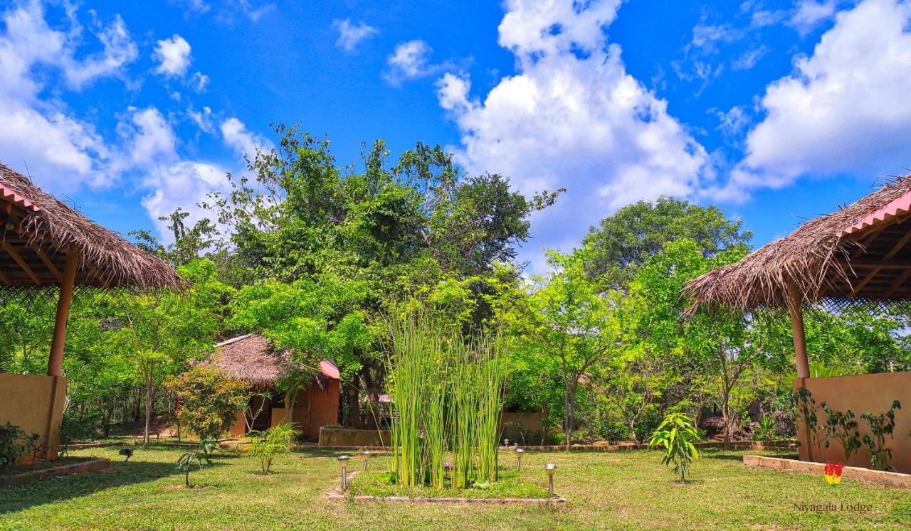 Hotel Niyagala Lodge สิกิริยา ภายนอก รูปภาพ