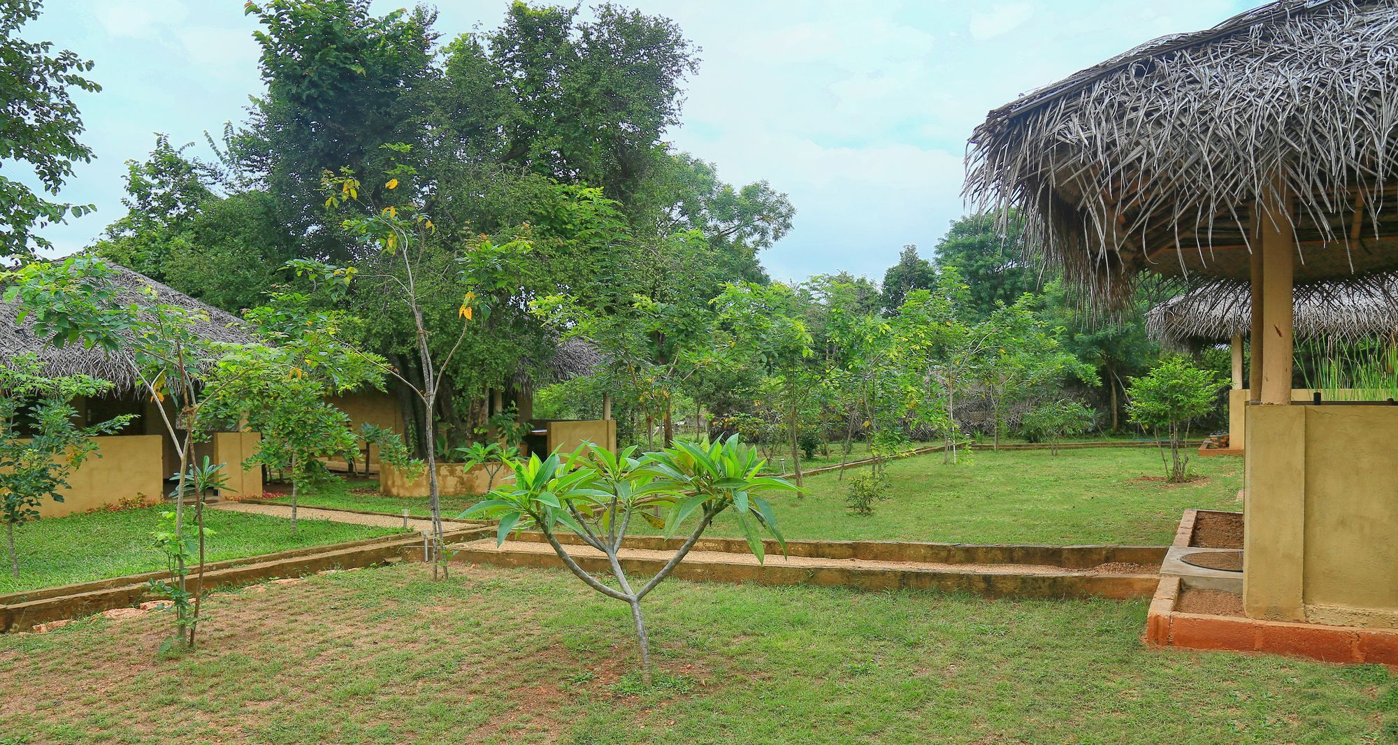 Hotel Niyagala Lodge สิกิริยา ภายนอก รูปภาพ