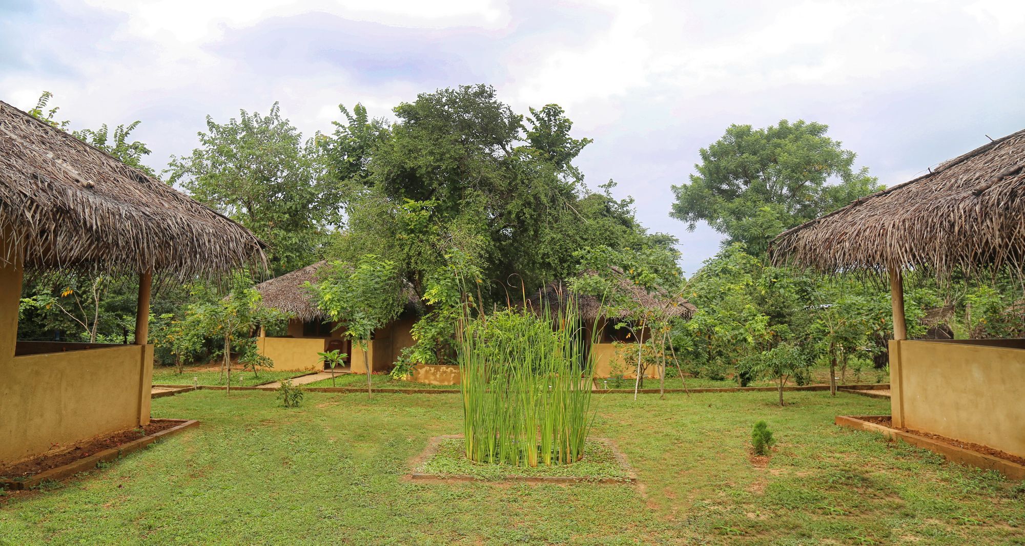 Hotel Niyagala Lodge สิกิริยา ภายนอก รูปภาพ